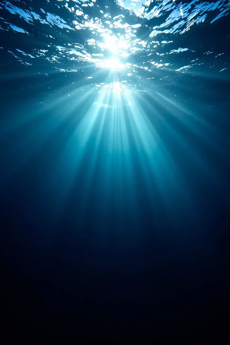 深海回响 封面